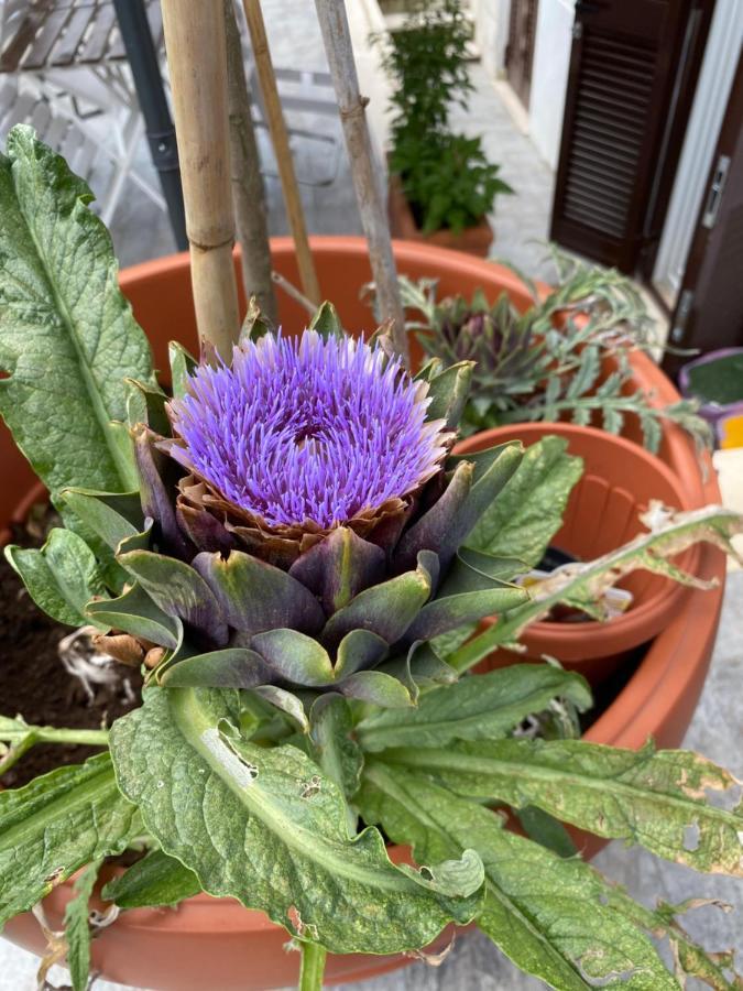 Officinale Rome Apartment, Pineta Sacchetti 外观 照片