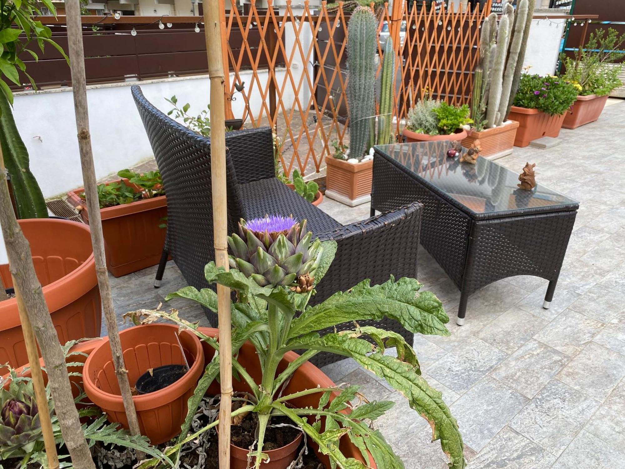 Officinale Rome Apartment, Pineta Sacchetti 外观 照片